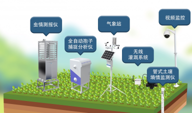 智慧农业创新方案，赋能农业现代化转型新征程